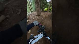 The Greatest Bike Park for a reason [upl. by Ssecnirp]