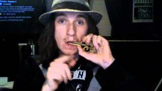 quotWere Not Gonna Take Itquot Jaw Harp Jews Harp Solo [upl. by Nywde]