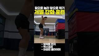 제자리 멀리뛰기용 수평 힘전환 강화훈련 점프력 제멀 점프훈련 체대입시 체대입시생 서전트 순발력 플라이오메트릭 [upl. by Htessil563]