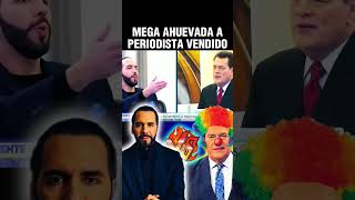 Mega ahuevada a Periodista Vendido de parte de quot Nayib Bukelequot [upl. by Wei]