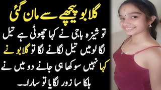 sheeza baji novel part 13  sheeza baji ki khani  sheeza baji story  sheeza baji full Urdu story [upl. by Aihk]