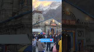 Mahadev Status  Kedarnath Mandir shorts kedarnath status mahadev temple 2024 [upl. by Ulphi858]