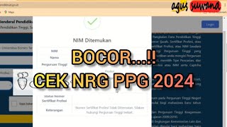 CARA CEK NOMOR SERTIFIKASI PPG 2024  ppg guru tertentu dan prajabatan 2025 nrgppg ppgdaljab [upl. by Hplodur394]