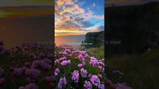 24kgoldn  Mood Lyrics ftiann dior  Lyrics video  lofi  Mood song  lyrics aesthetic [upl. by Lehcnom]