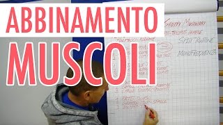 ABBINAMENTO GRUPPI MUSCOLARI NELLE SEDUTE IN PALESTRA [upl. by Lowson]