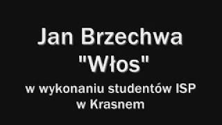 Jan Brzechwa  Włos [upl. by Are16]