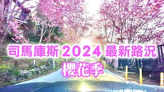 【新竹景點】上帝的部落「司馬庫斯」2024 最新路況，櫻花盛開🌸 Smangus Hsinchu Taiwan [upl. by Aleik]