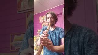 Quenacho C key ashwood  flute for sale [upl. by Modeste374]