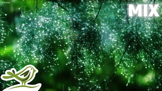 Beautiful Piano Music Mix with Rain Sounds • Relaxing Music by Peder B Helland [upl. by Nicole]