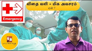 விதை வலி  மிக அவசரம்  ஏன்   Pain in the testis  Emergency  Why   தமிழ் [upl. by Shari]