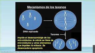 Discusión 24 Cabazitaxel vs abiraterona o enzalutamida tratamiento cáncer de próstata metatasico [upl. by Onaicul]