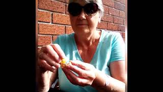 What do Cape gooseberries taste like we were surprised [upl. by Yt485]