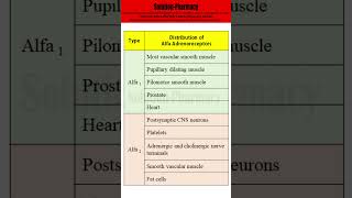 Distribution of Alpha Adrenoreceptors  solutionpharmacy  pharmacologyclass [upl. by Lraep876]