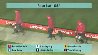 Crayford Greyhounds Races on 9th November 2024 [upl. by Hashimoto]