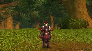 Forged Gladiators Chain Armor WoW TWW Season 1 Hunter PVP [upl. by Adigun]