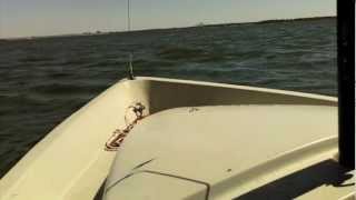 Boston Whaler Harpoon 52 [upl. by Electra]