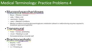 Medical Terminology  The Basics and Anatomy  Practice Problems Set 3 [upl. by Rodrigo]