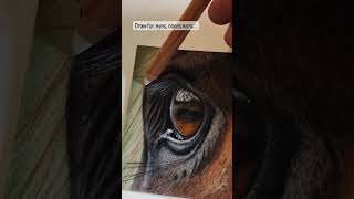 MAKE YOUR WISH OF DRAWING ANIMAL PORTRAITS A REALITY💛 [upl. by Lorolla]