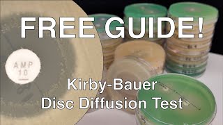 Disc Diffusion Guide [upl. by Lezti]