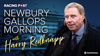 Newbury Gallops Morning with Harry Redknapp  Racing Post [upl. by Selmner49]