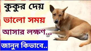 কুকুরের শুভ সংকেত  Kukurer Shubh Sanket  Good Sing Of Dogs  Vastu sastro  Bageshwar Dham [upl. by Zacharia792]