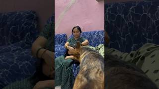 Champ ko bhut Jalan hota h 😂🐶❤️dog germanshepherd doglover viral reels love shorts champ [upl. by Alyehc]