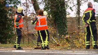 Stormschade in hele provincie Overijssel [upl. by Gustie761]