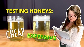 Does HONEY QUALITY matter in mead Testing CHEAP vs EXPENSIVE honey in a Hydromel [upl. by Emlin271]