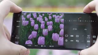 Sony Xperia 1 III focus performance comparison with Xperia 1 II [upl. by Mathia53]