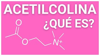 ¿Qué es la ACETILCOLINA ✅ y cuál es su función ¿El NEUROTRANSMISOR de la MEMORIA [upl. by Oiretule]