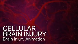 Cellular Brain Injury  Medical Animation [upl. by Nazus]