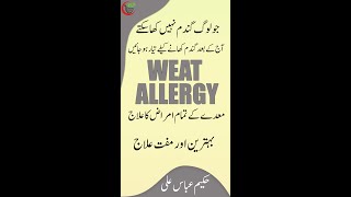 WHEAT ALLERGY WORLD BEST TREATMENT BY HAKEEM ABBAS ALI hakeemabbasali [upl. by Macdonald]