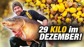 Karpfenangeln im Winter 🌽 auf Monsterfische mit Dosenmais [upl. by Beora]