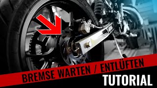 Moped Bremse warten amp entlüften  Tutorial  Rieju MRT 50 [upl. by Thora]