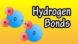 Hydrogen Bonds  What Are Hydrogen Bonds  How Do Hydrogen Bonds Form [upl. by Ainatit]