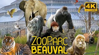 Zoo Parc De Beauval  France 🇫🇷May 2022  4K  HDR 60fps Walking Tour Part 1  A Walk In Paris [upl. by Esertal785]