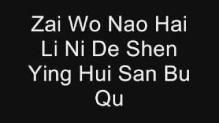 Qing Fei De Yi by Harlem Yu Lyrics PINYIN [upl. by Olenolin]