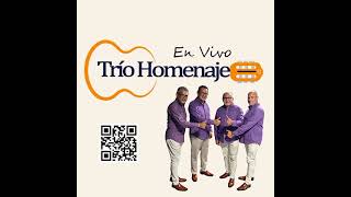 TRIO HOMENAJE EN VIVOYA NO TE ESPERO [upl. by Tonnie921]