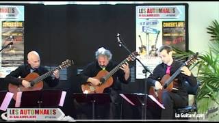 Paris Guitar Quartet  Les Automnales de Ballainvilliers 2014 [upl. by Ytsirt703]