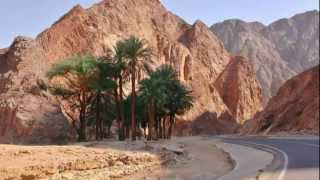 Nightwish  Meadows of Heaven  SINAI [upl. by Ademla]