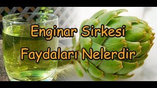 Enginar Sirkesi Faydaları Nelerdir [upl. by Brynna655]