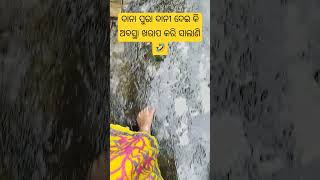 ଦାନା ଭାଇ ଜଲ୍ଦି polare 🤣🤣 [upl. by Cynth109]