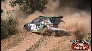 Rallye Terre de Lozère 2017 CRASH [upl. by Amat]