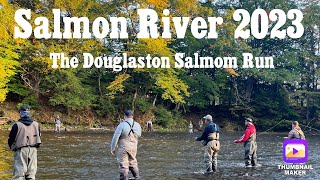 Salmon River 2023 The Douglaston Salmon Run [upl. by Anayd864]