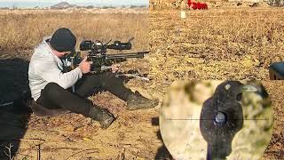 Field Target Training With Triggercam shoot fieldtarget targetshooting airrifleshooting [upl. by Flavius]