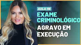 Aula 116  Exame Criminológico e Agravo em Execução [upl. by Trstram]