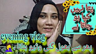 Evening vlog  Toshis life style  mini vlogs  phir bhul Gai me [upl. by Niad]