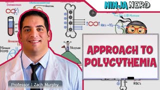 CBC  Approach to Polycythemia [upl. by Ennayelsel]