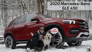 2020 MercedesBenz GLE 450 Andie the Lab Review MercedesBenz LabTested allkindsofstrength [upl. by Jedlicka627]