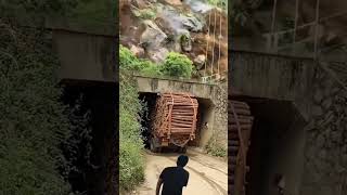 Have you ever seen such an interesting short video nature shorts trending flood [upl. by Sissie]